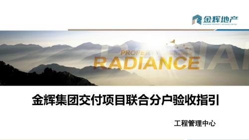 房地產(chǎn)開發(fā)公司交付項目聯(lián)合分戶驗收指引（10頁）