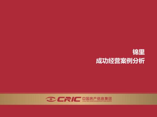 成都錦里文化主題商業(yè)街成功經(jīng)營(yíng)案例分析報(bào)告