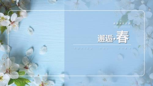 2019商場超市春季美陳方案（28頁）