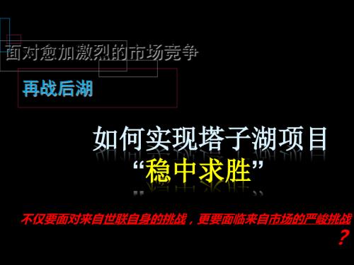 武漢塔子湖置業后湖160萬㎡綜合體項目定位報告.pptx