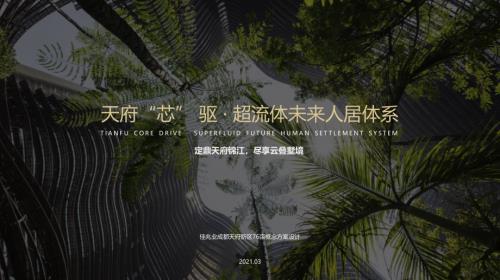 2021四川錦江生態帶76畝疊拼高層商業地產項目建筑設計方案（170頁）