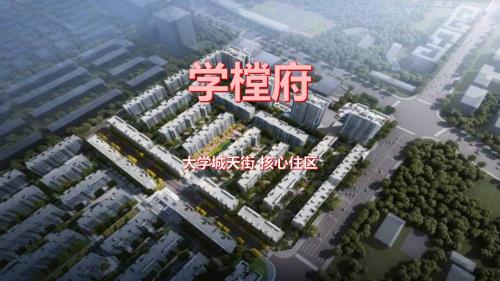 重慶學樘府洋房小高層住宅營銷策略方案（34頁）