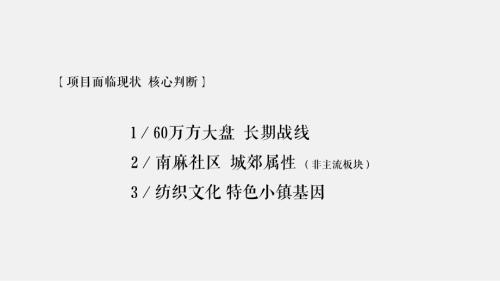 新城地產(chǎn)城紡織文化特色小鎮(zhèn)推廣方案（227頁(yè)）