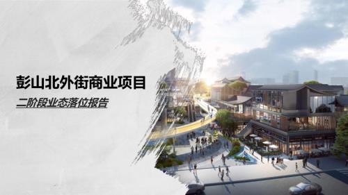 2020彭山北外街商業街項目二階段業態落位報告（132頁）