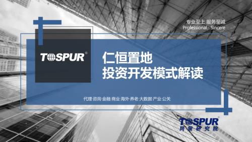 2018仁恒置地房地產集團投資開發模式解讀研究報告（42頁）