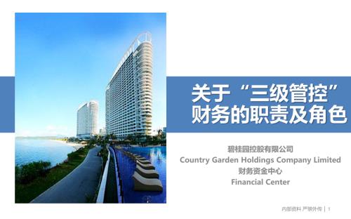 房地產公司關于“三級管控”財務職責及角色培訓課件（41頁）.pdf