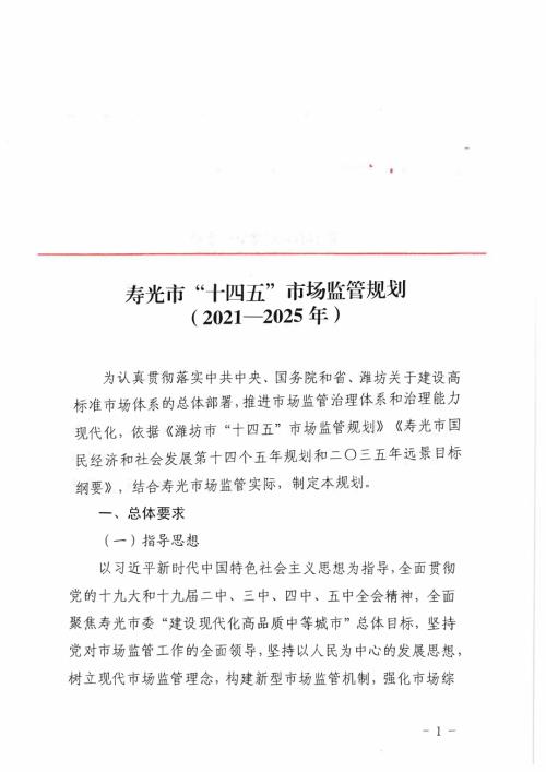壽光市“十四五”市場監管規劃方案（2021-2025年）（17頁）