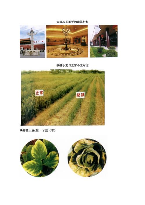 大理石是重要的建筑材料(1頁)