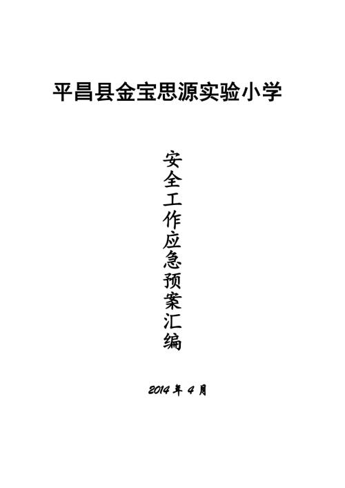 平昌縣金寶思源實驗小學安全工作應急預案匯編（47頁）