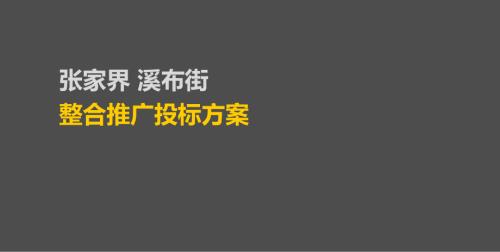 張家界溪布街休閑旅游深度體驗中心整合推廣投標(biāo)方案