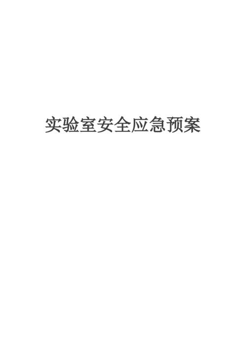 學校實驗樓實驗室安全應急預案（17頁）