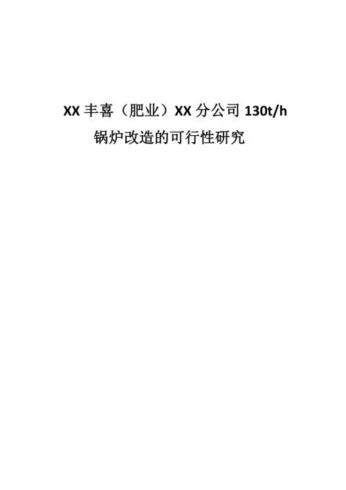 肥業公司鍋爐改造可行性研究報告（14頁）