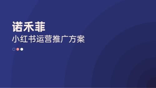 諾禾菲醫(yī)療美容修護品牌小紅書運營推廣方案（27頁）
