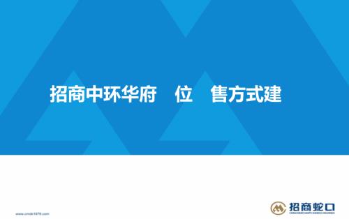 2020年招商中環華府住宅項目車位銷售方式建議方案（13頁）