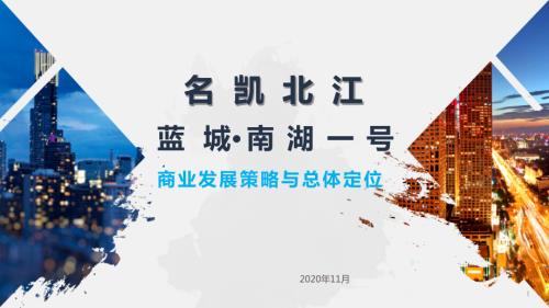名凱遼源商業、公寓及辦公項目發展策略與總體定位方案（141頁）