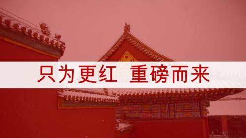 2020紅熙臺洋房住宅項目年度推廣方案（91頁）