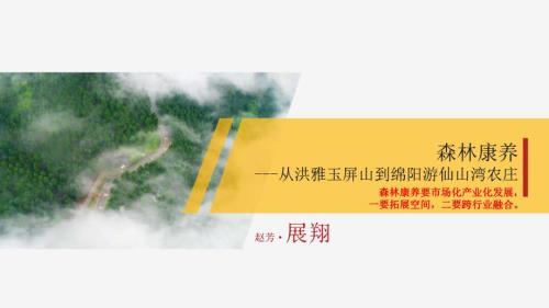 洪雅玉屏山綿陽(yáng)游仙山灣農(nóng)莊森林田園康養(yǎng)規(guī)劃方案（53頁(yè)）