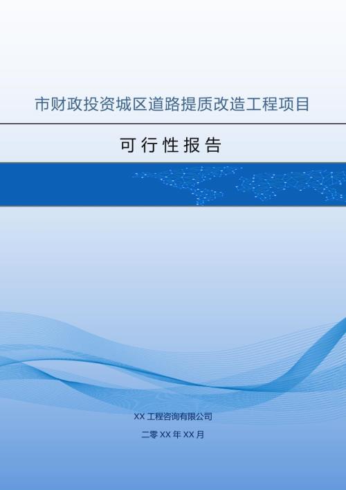 市財政投資城區道路提質改造工程項目可行性報告41頁