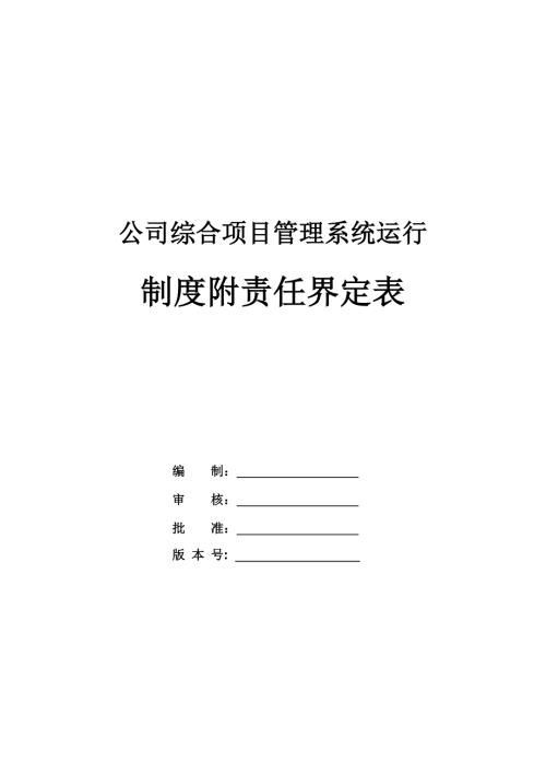 公司綜合項目管理系統(tǒng)運行制度附責(zé)任界定表