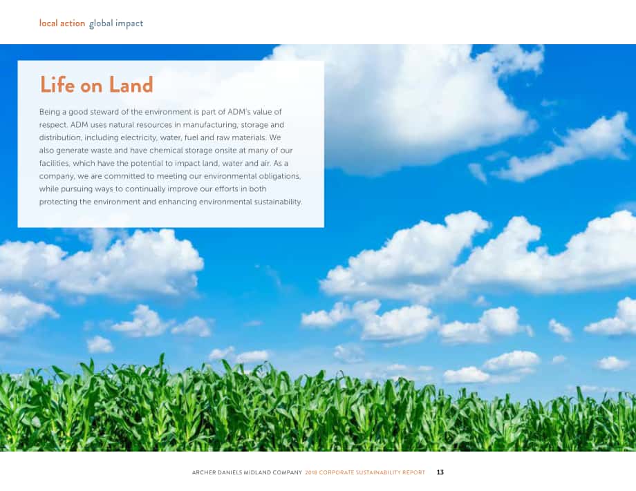 ADM公司（ARCHER DANIELS MIDLAND）2018年可持續(xù)發(fā)展報(bào)告（英文版）（46頁(yè)）.pdf_第15頁(yè)