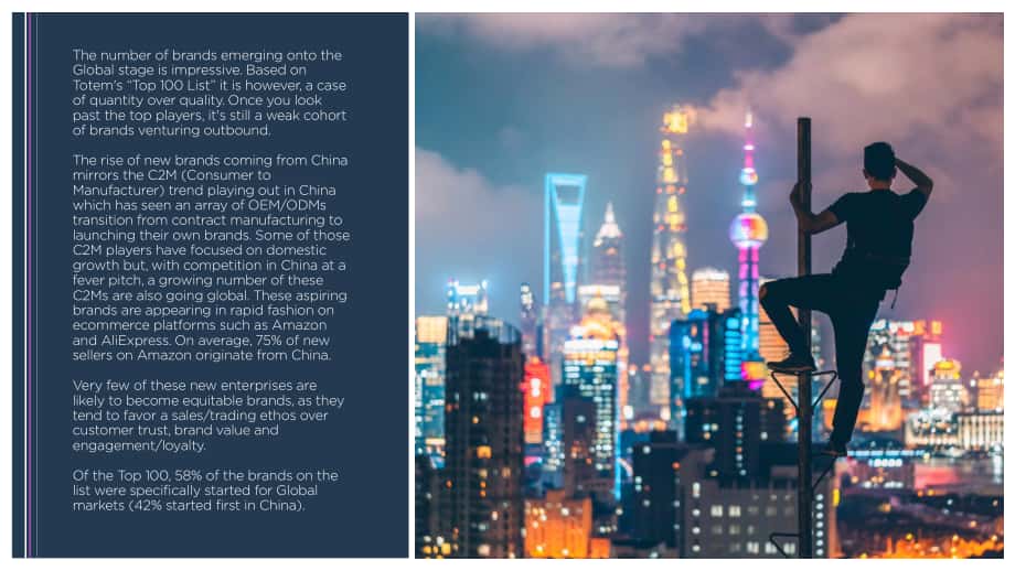 Totem：2021中國出海品牌分析報告（英文版）（106頁）.pdf_第9頁