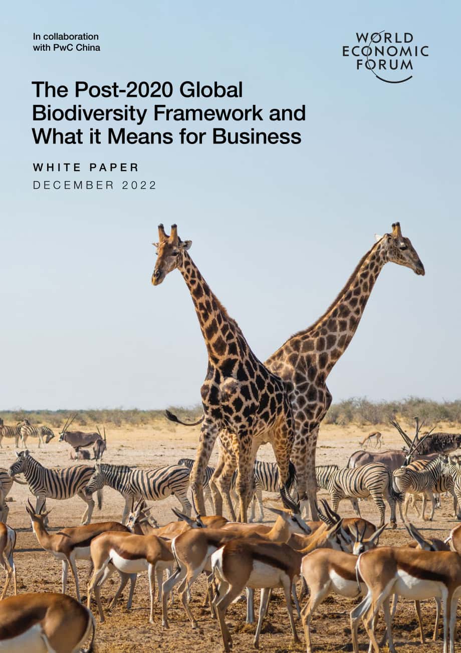 普華永道&WEF：2020年后全球生物多樣性框架及其對企業的意義白皮書（英文版）（58頁）.pdf_第1頁
