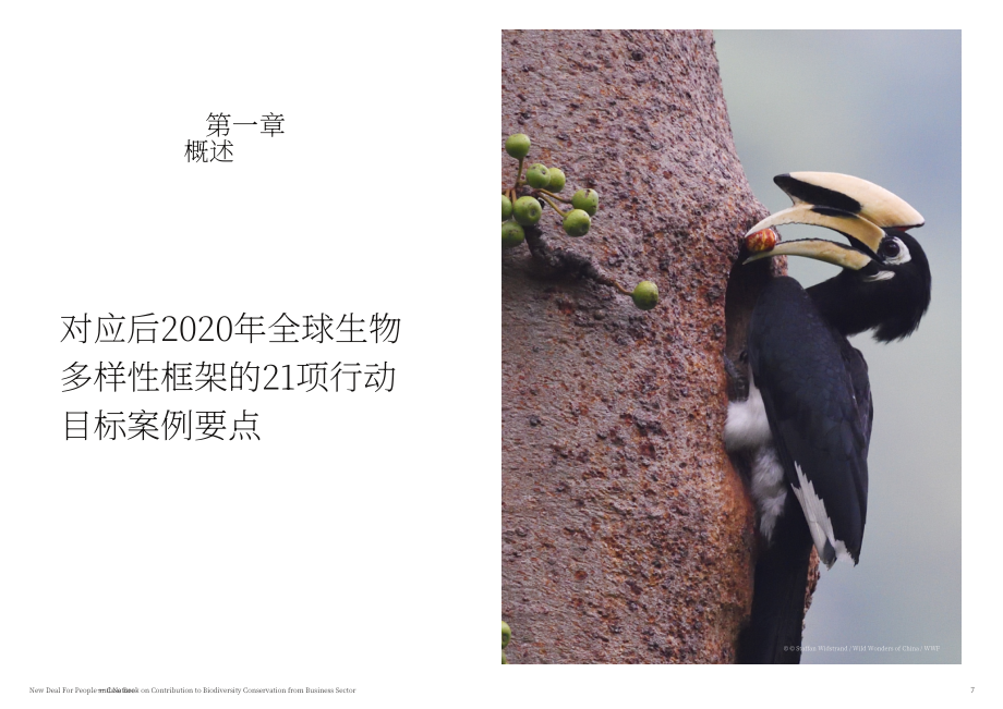 世界自然基金會：人與自然和諧新共識-企業(yè)參與生物多樣性案例集（英文版）（40頁）.pdf_第4頁