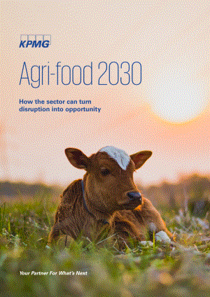 畢馬威（KPMG）：2030年愛爾蘭農業食品展望報告（英文版）（12頁）
