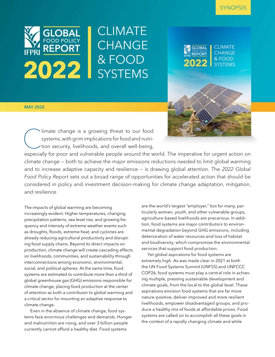國際食物政策研究所（IFPRI）：2022年全球食物政策報告（英文版）（12頁）.pdf_第1頁