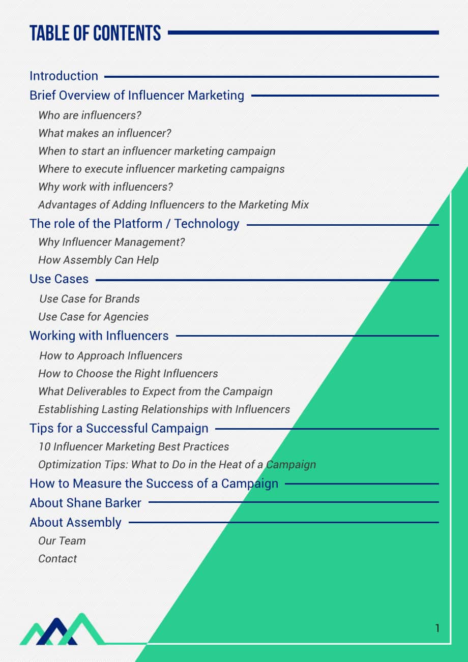 Influencer Marketing Hub：如何制定成功的影響者營銷方案（英文版）（20頁）.pdf_第2頁