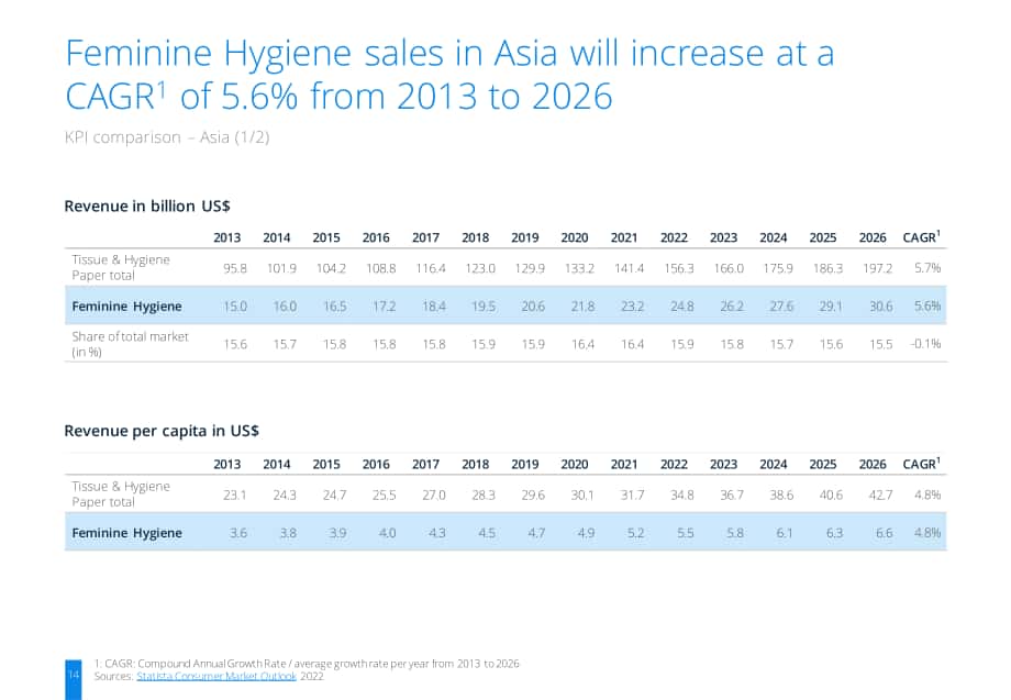 2022年衛(wèi)生巾行業(yè)研究報(bào)告（英文版）（31頁(yè)）.pdf_第14頁(yè)