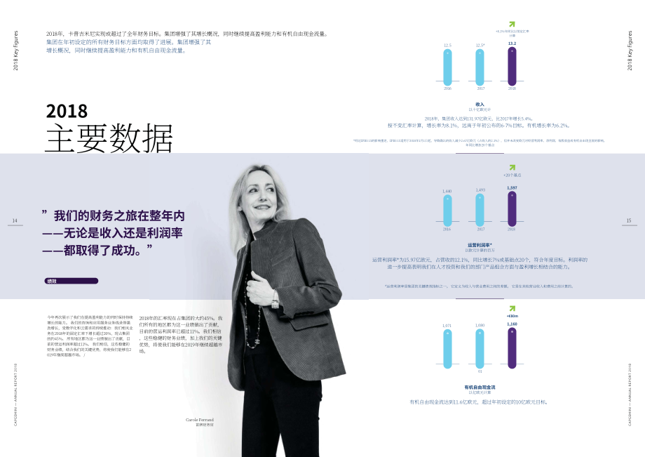 凱捷（Capgemini）2018年年度報告（英文版）（64頁）.pdf_第11頁