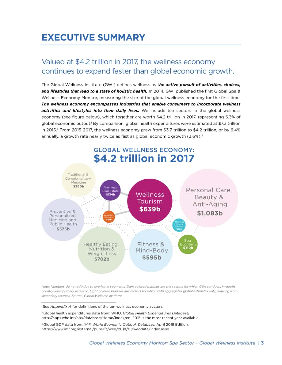 全球健康研究院（GWI）：2018年全球健康監測報告-水療行業分析（英文版）（44頁）.pdf_第4頁