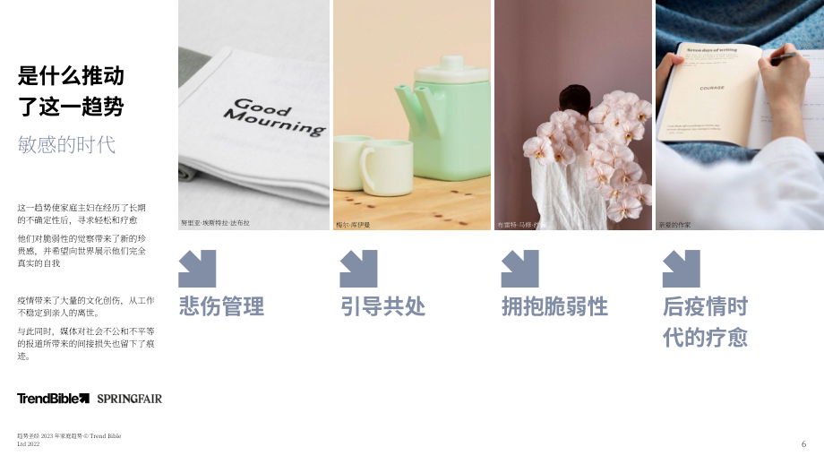 Trend Bible：2023年家裝趨勢報告（英文版）（19頁）.pdf_第6頁