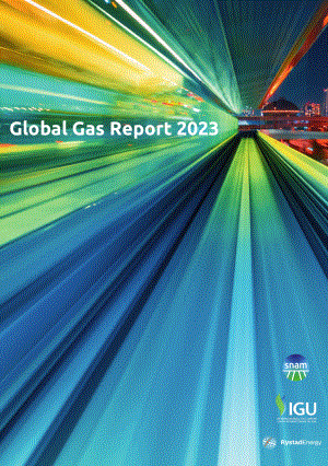 國際燃氣聯盟（IGU）：2023年全球天然氣報告（英文版）（94頁）