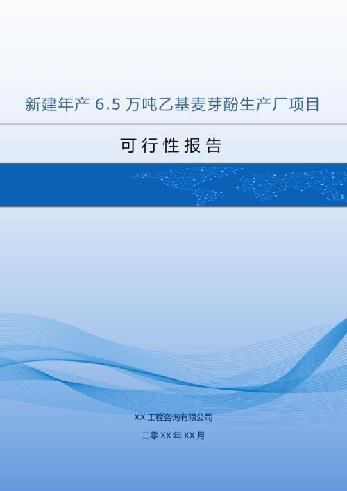 新建年產6.5萬噸乙基麥芽酚生產廠項目可行性報告（62頁）