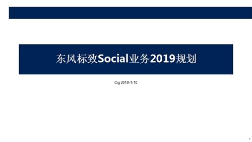 2019東風標致汽車品牌數字營銷傳播規劃方案（54頁）