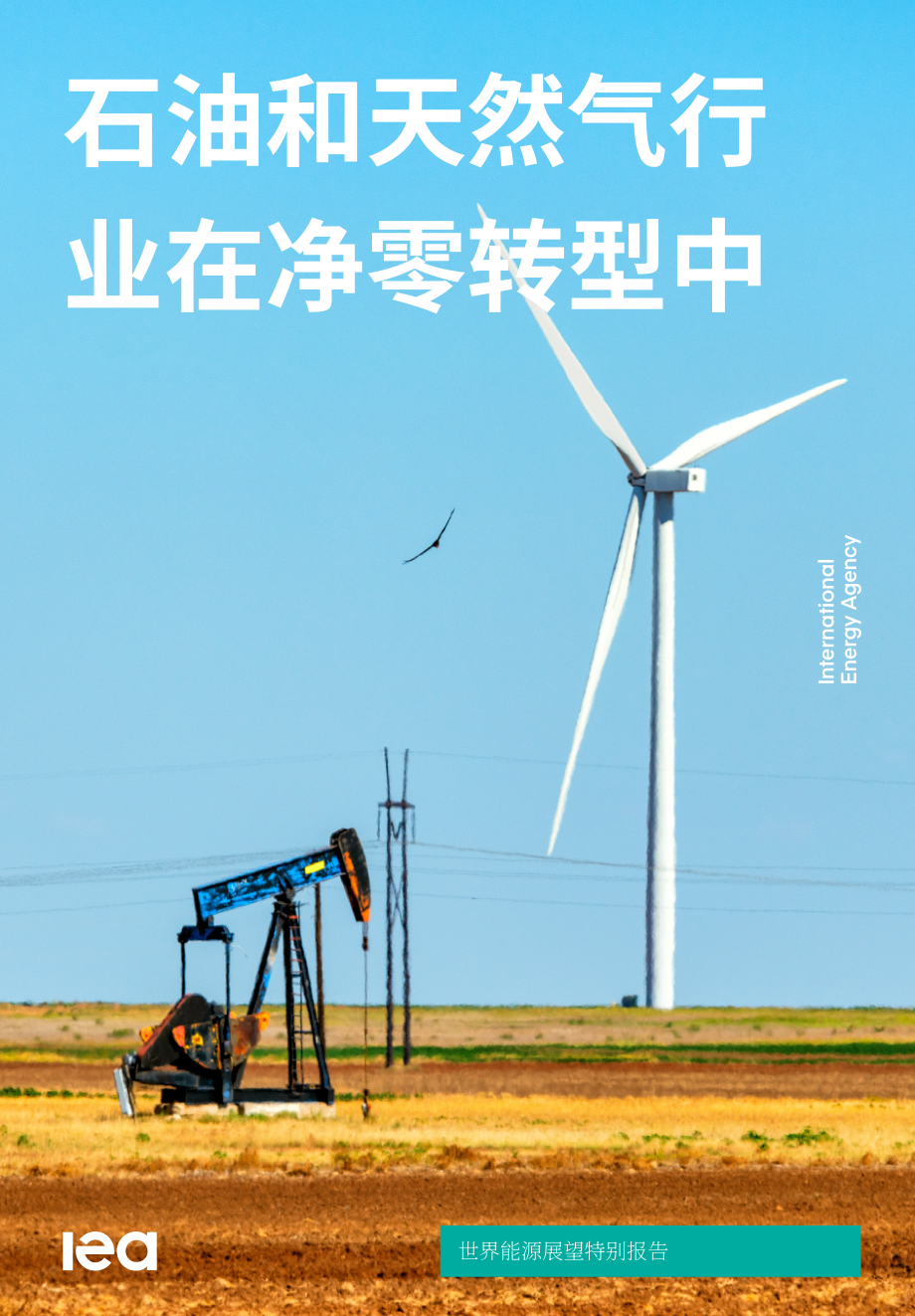 國際能源署：2023凈零轉型中的油氣行業報告（英文版）（224頁）.pdf_第1頁
