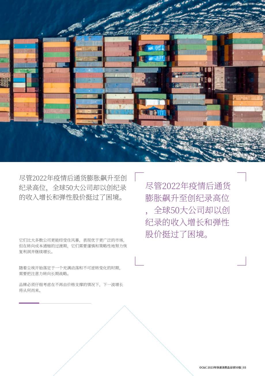 歐晰析咨詢：2023年全球50大快速消費品公司報告（英文版）（18頁）.pdf_第3頁
