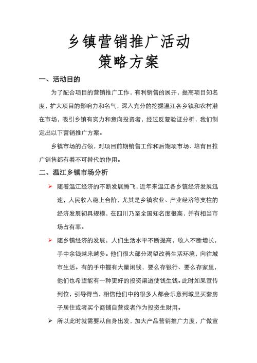 房地產鄉鎮推廣方案（10頁）