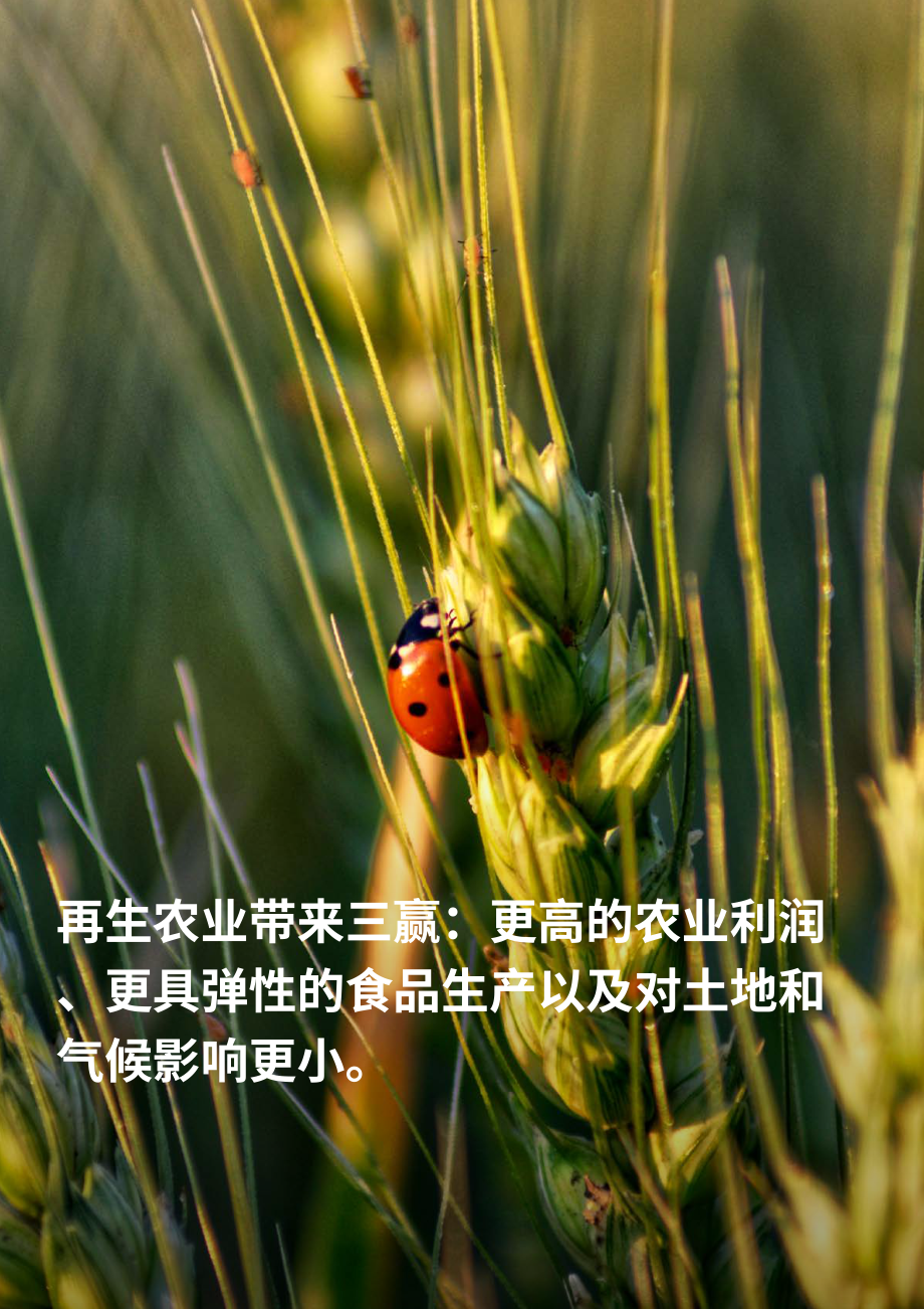 波士頓咨詢：2023年德國及其他地區再生農業案例研究報告（英文版）（12頁）.pdf_第5頁