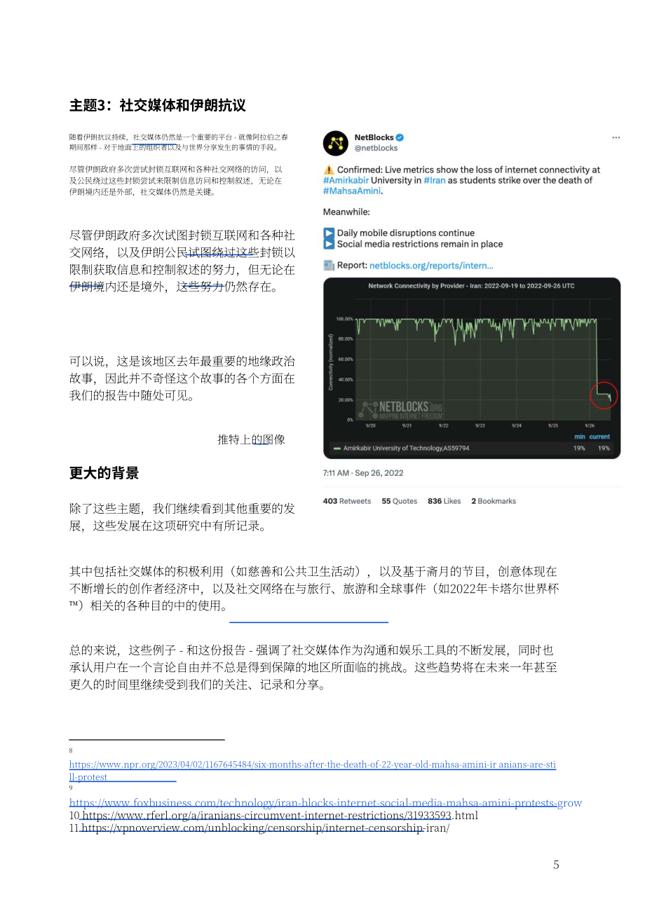 世界期刊聯盟（FIPP）：2022年度中東社交媒體趨勢回顧報告（英文版）（93頁）.pdf_第6頁