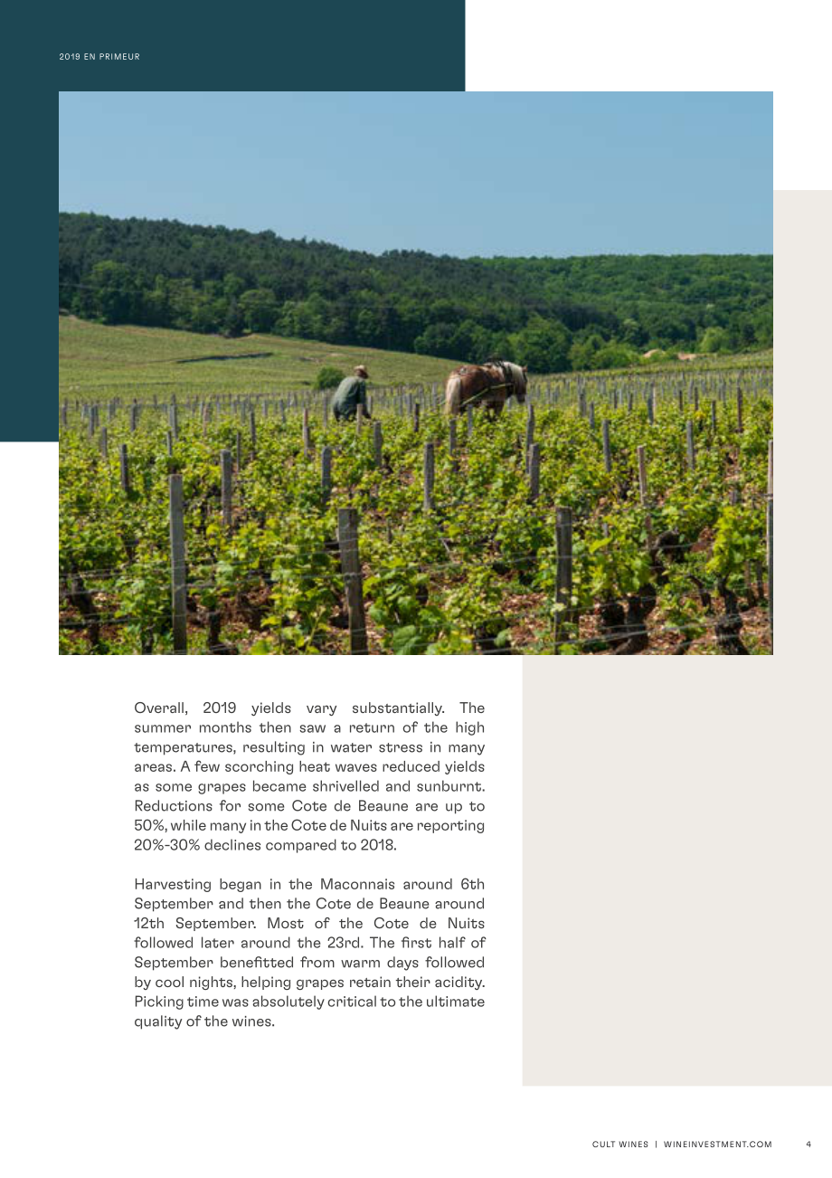 Wine Investment：勃艮第2019年份期酒報告（英文版）（16頁）.pdf_第4頁