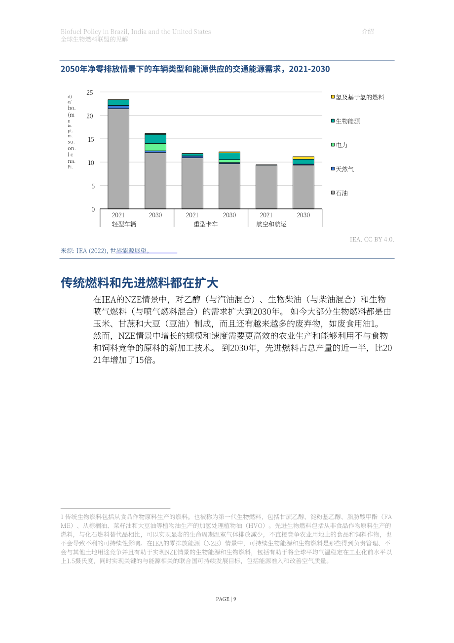 國際能源署（IEA）：2023年巴西、印度和美國生物燃料政策報告（英文版）（30頁）.pdf_第9頁