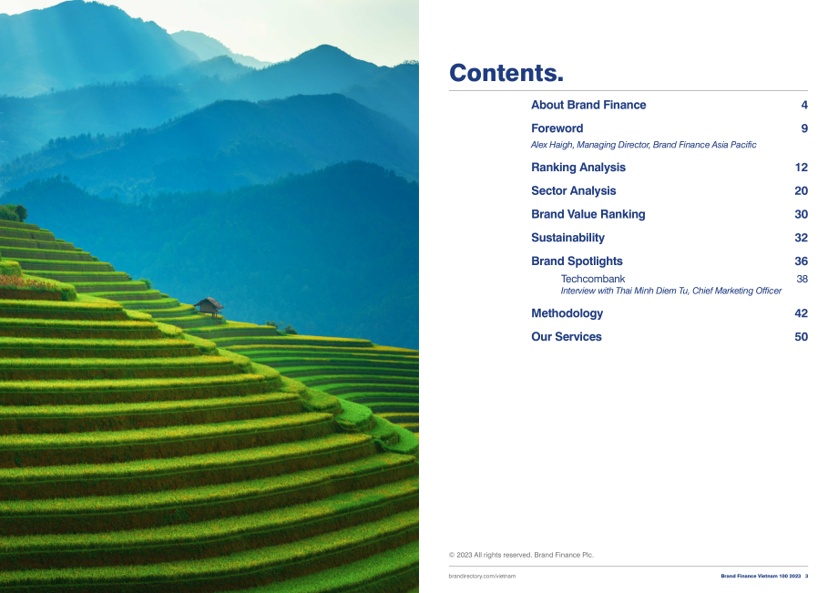 Brand Finance：2023年度越南品牌價值100強報告（英文版）（29頁）.pdf_第2頁