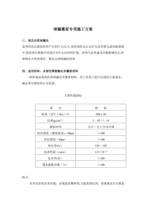 堵漏灌漿專項施工方案