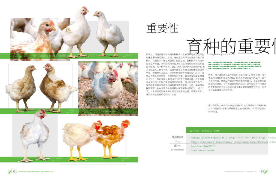 世界農場動物福利協會：2022年度美國非籠養肉雞進程追蹤報告（英文版）（23頁）.pdf_第7頁