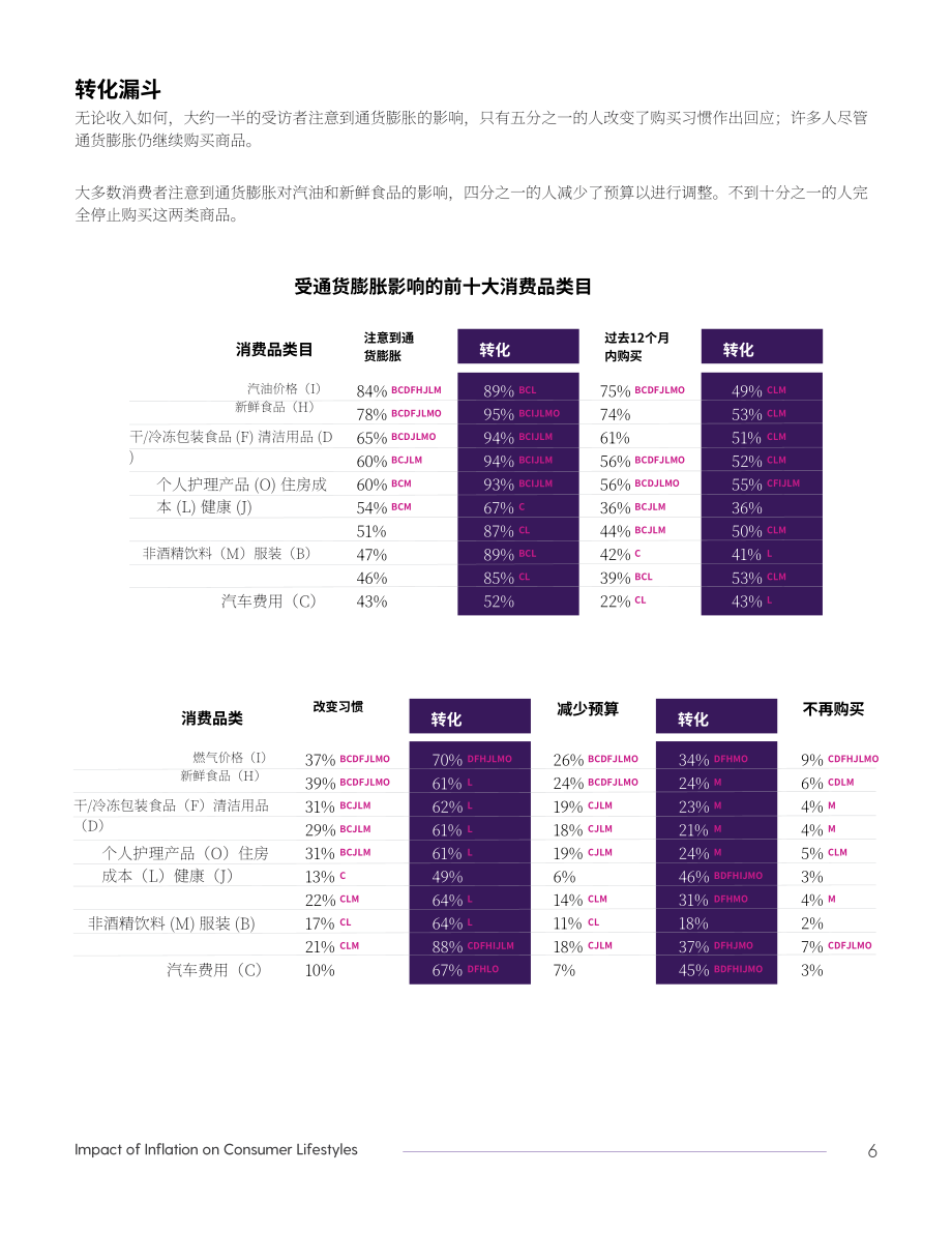 Fuel Cycle：2023年通貨膨脹對消費者生活方式的影響研究報告（英文版）（15頁）.pdf_第6頁