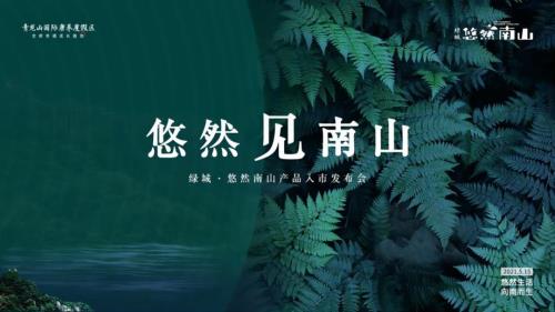2021地產項目產品入市發布會悠然見南山主題活動策劃方案-88P