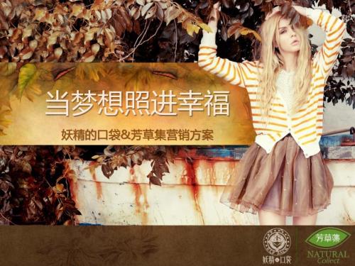 當夢想照進幸福妖精的口袋AND芳草集營銷方案營銷創意方案PPT